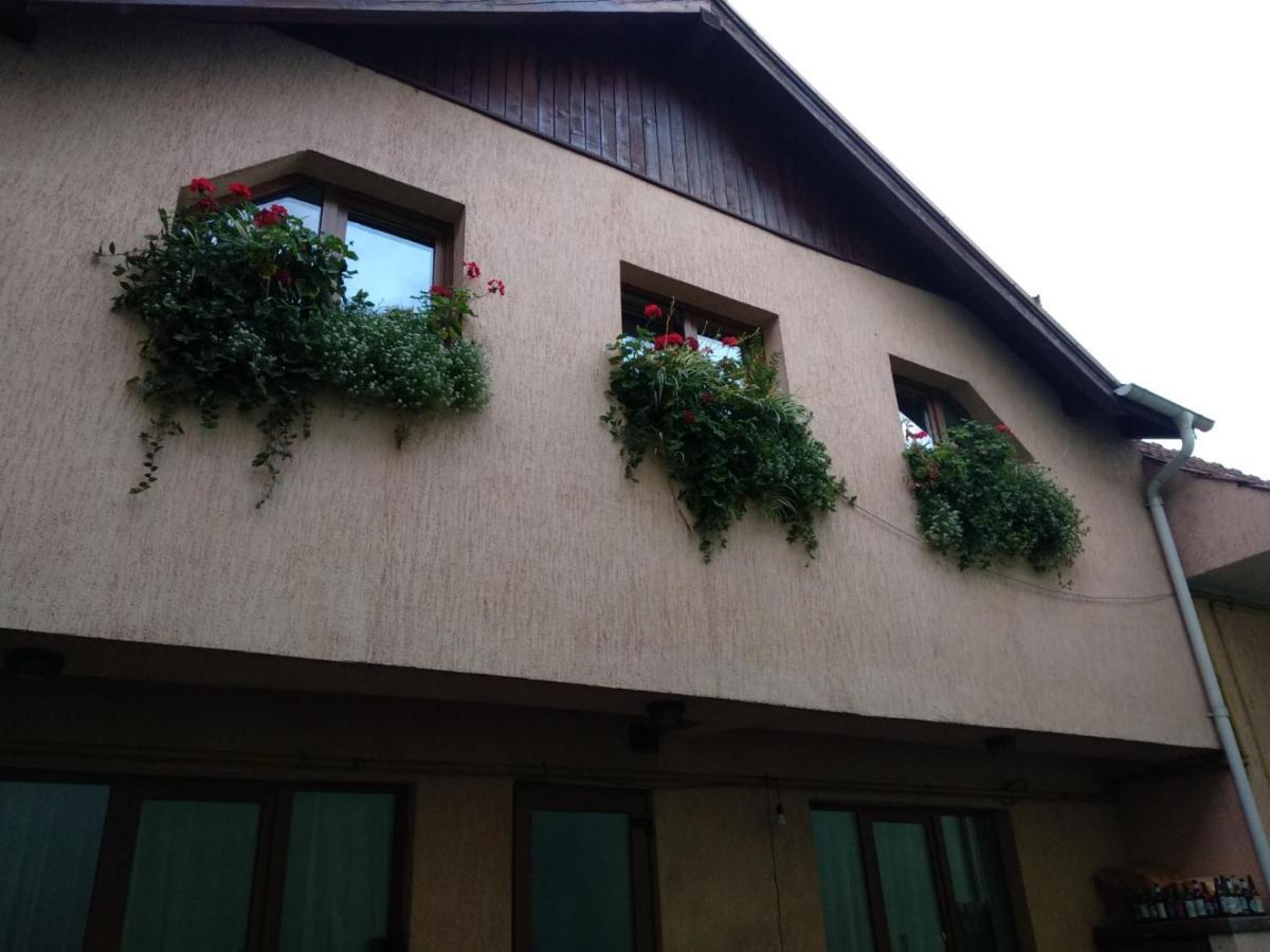 Apartamento Casa Charlot Braşov Exterior foto